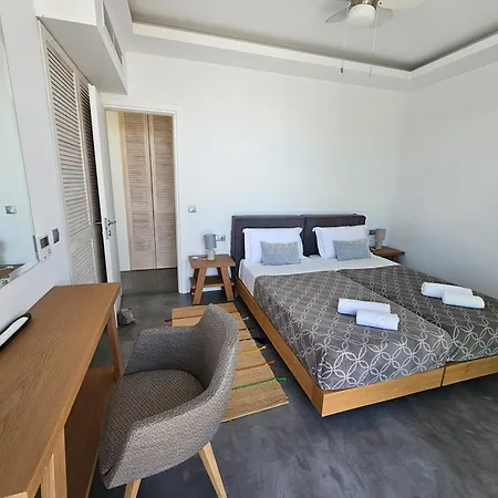 Kalli Thea Villa *